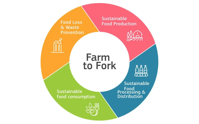 How farm to fork model is reshaping the meat retailing industry?